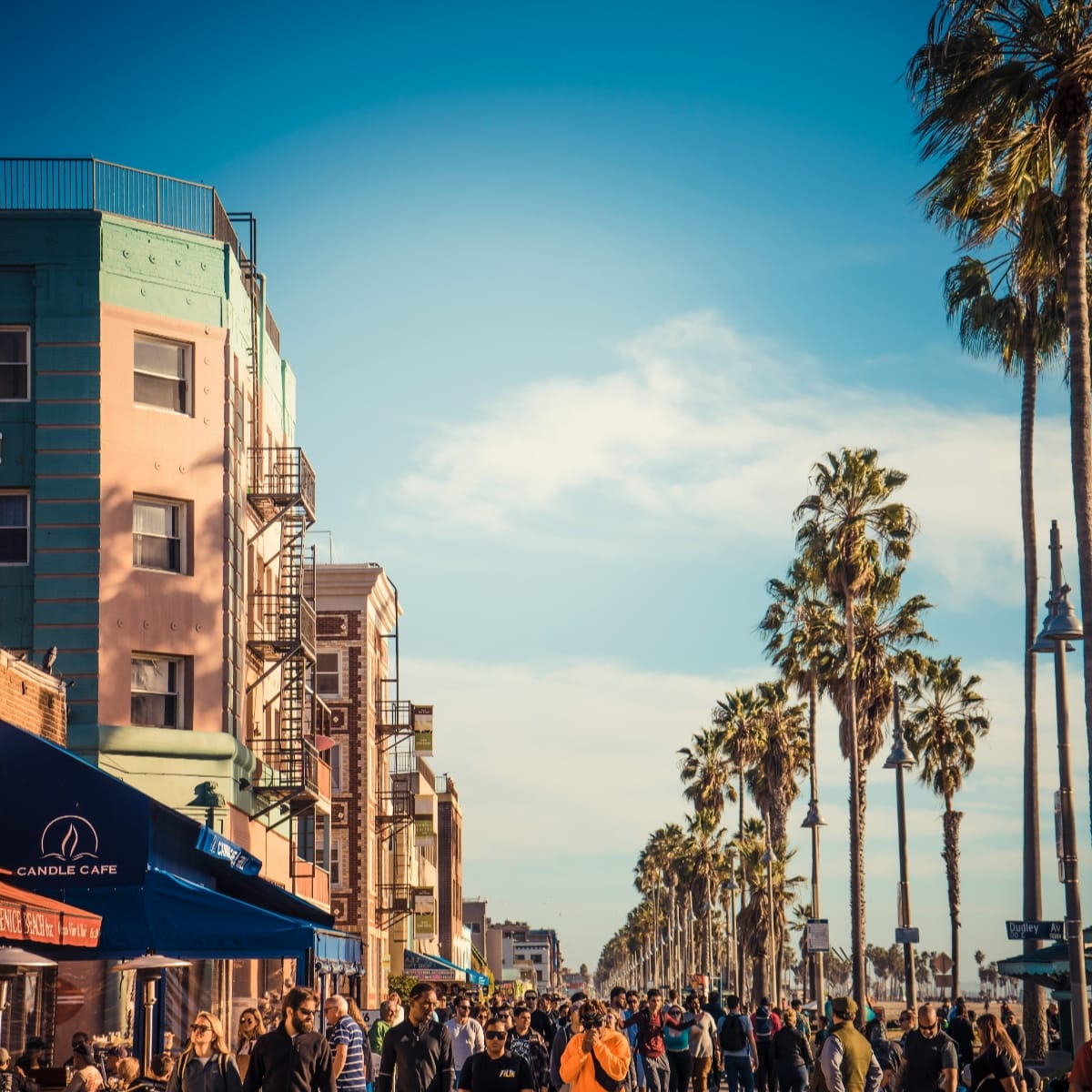 A Primer on Economics for Successful Startups